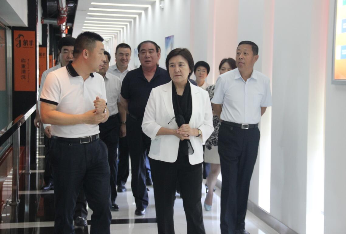 自治區(qū)黨委副書記、自治區(qū)主席布小林蒞臨協(xié)會會長單位——蒙羊牧業(yè)公司視察調(diào)研