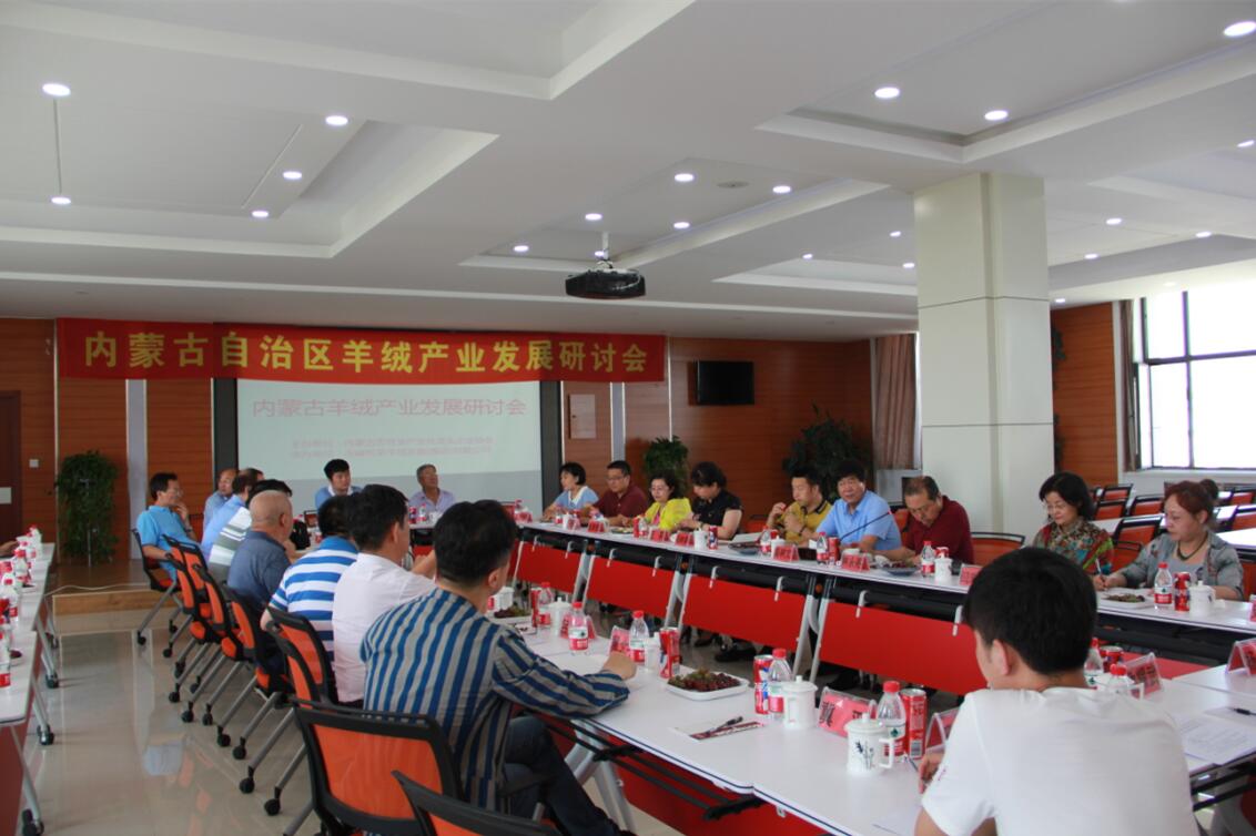 齊心協(xié)力，共謀內(nèi)蒙古羊絨產(chǎn)業(yè)發(fā)展新思路